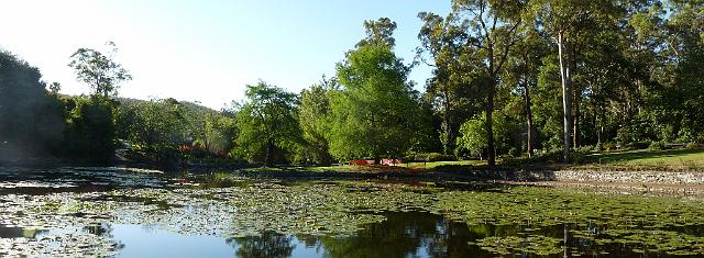 (40) Brisbane Botanic Gardens.jpg
